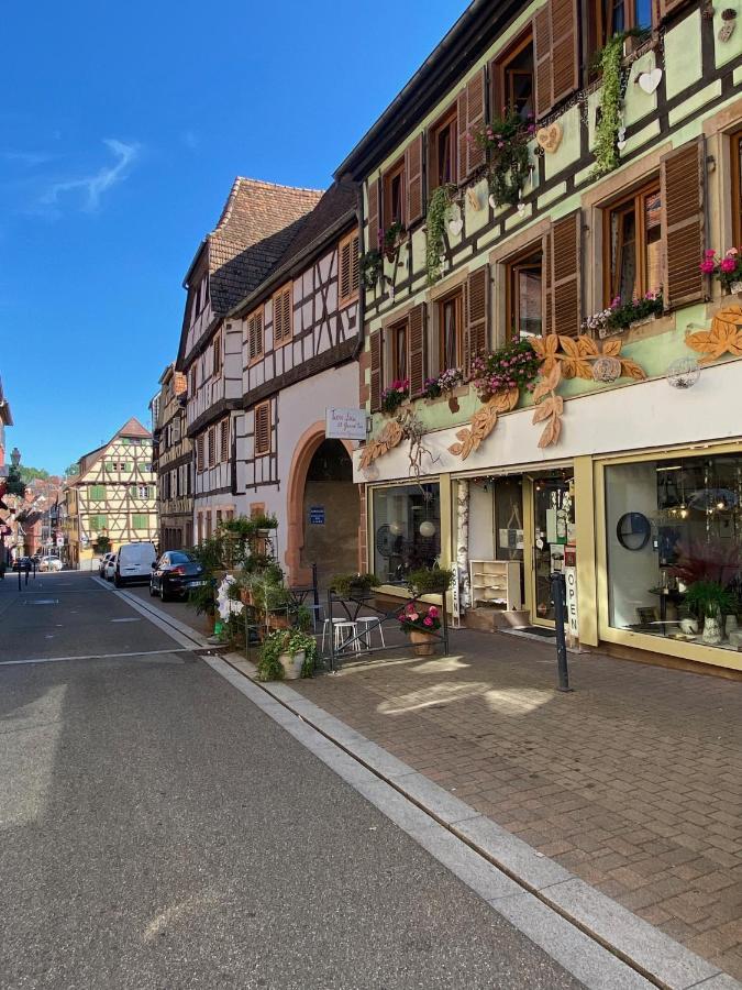 Tiers Lieu 59 Grand Rue Apartment Bouxwiller  Bagian luar foto